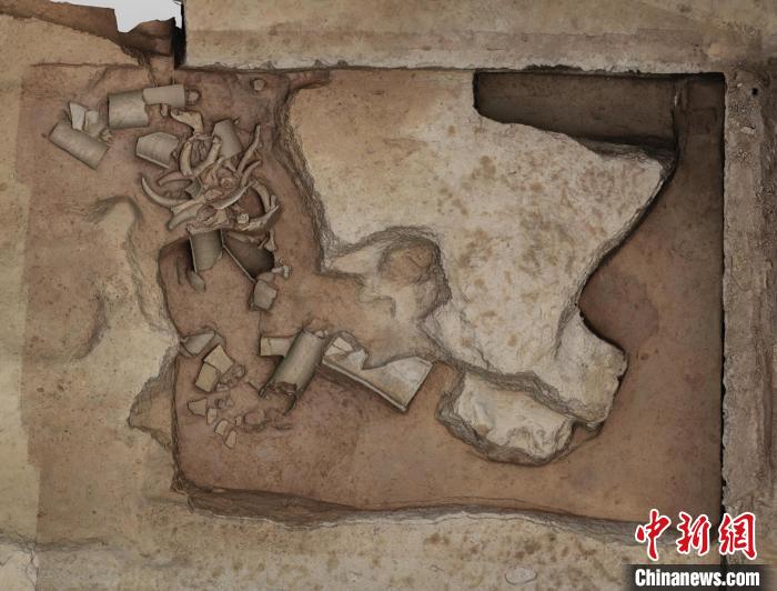 祭祀坑正射影像。　陜西省考古研究院供圖